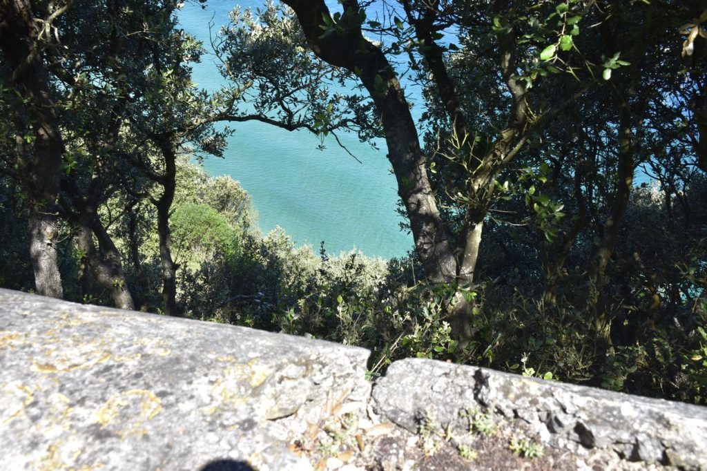 tn_mar desde monte
